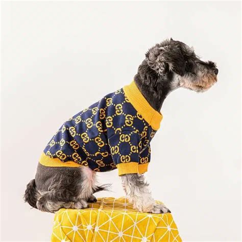 gucci shoes dog|designer dog clothes gucci.